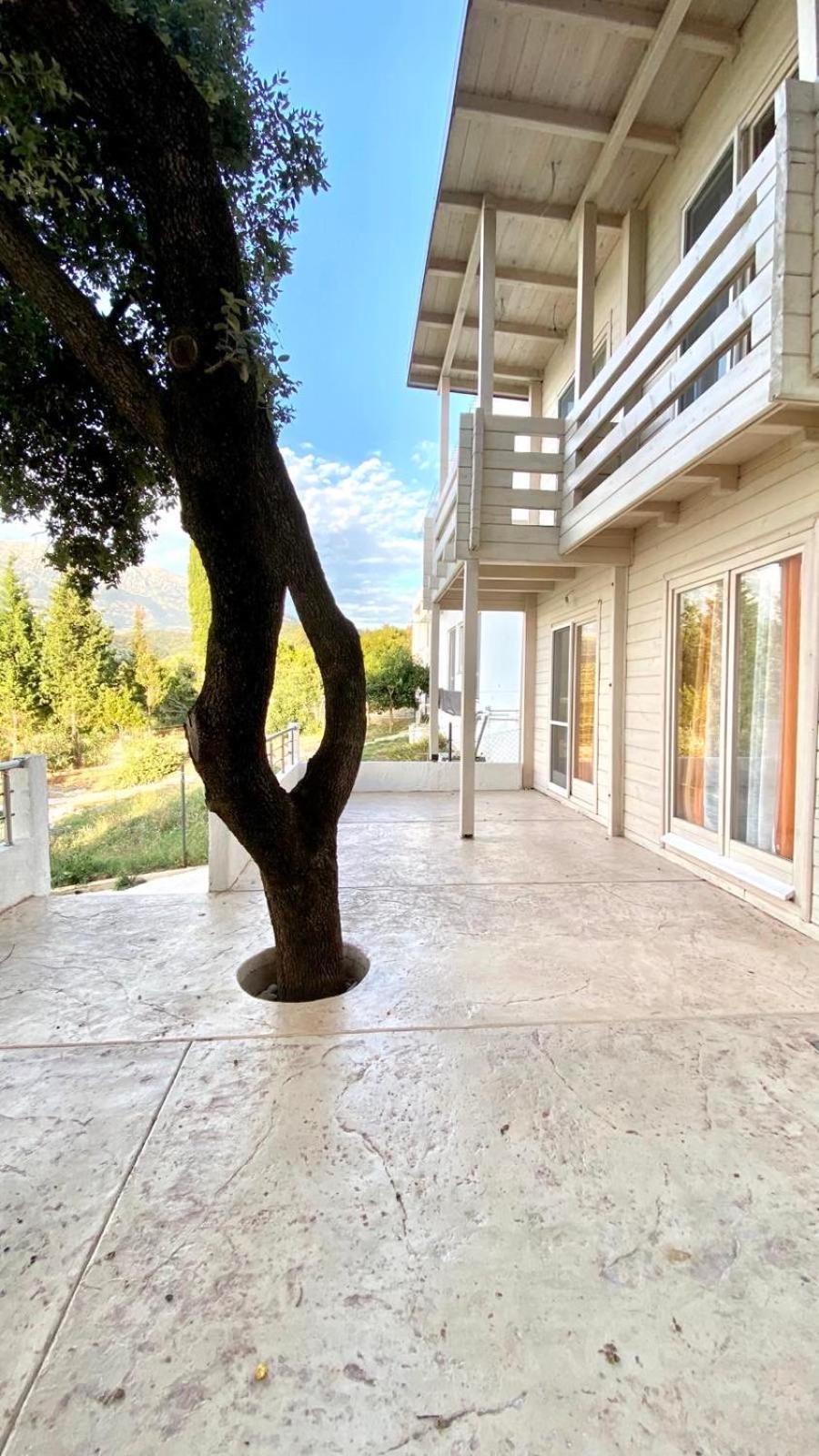 Apartment Seastar Eco