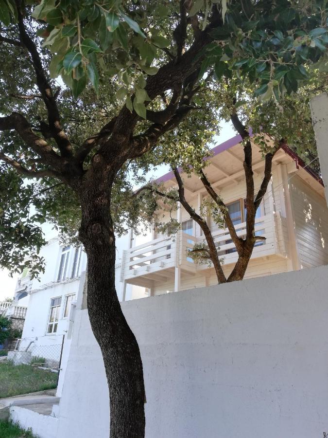 Seastar Eco Apartment
